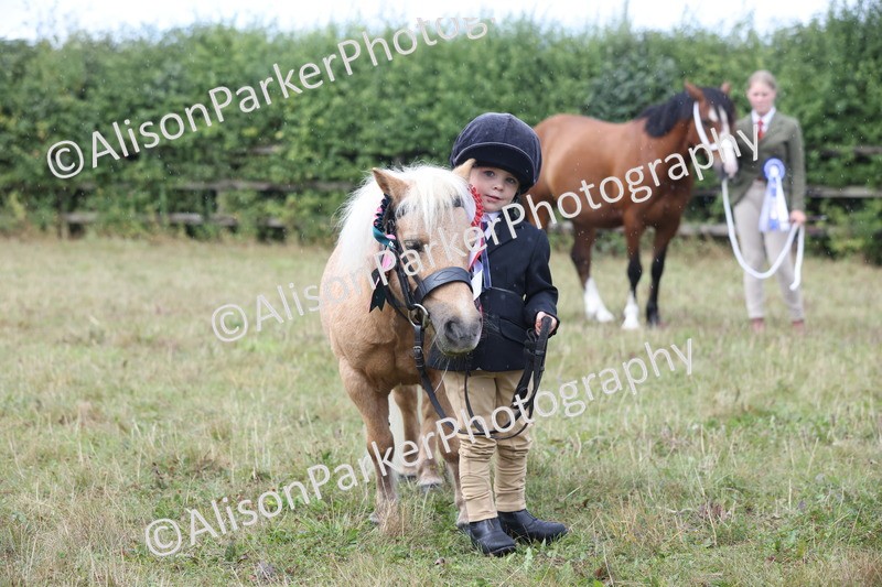 20250831-3107 - Inhand Championship