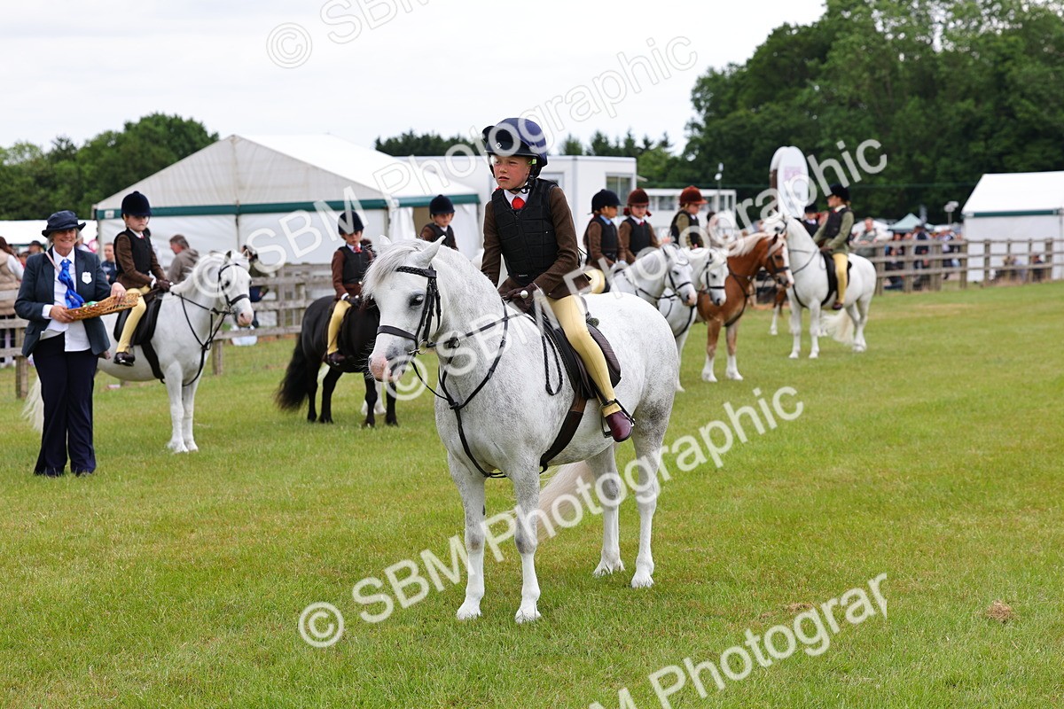SBM_08634 - Class 42-43 - LIHS BSPS Heritage Working Sports Pony