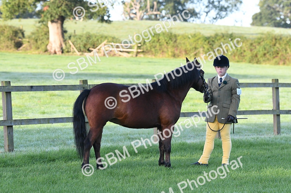 SBM_32603 - S15 - Condition & Turnout In Hand