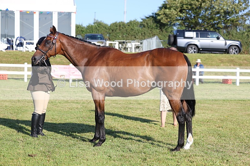 3E7A5156 - Class 1: Rising Star Small Hack/Riding Horses