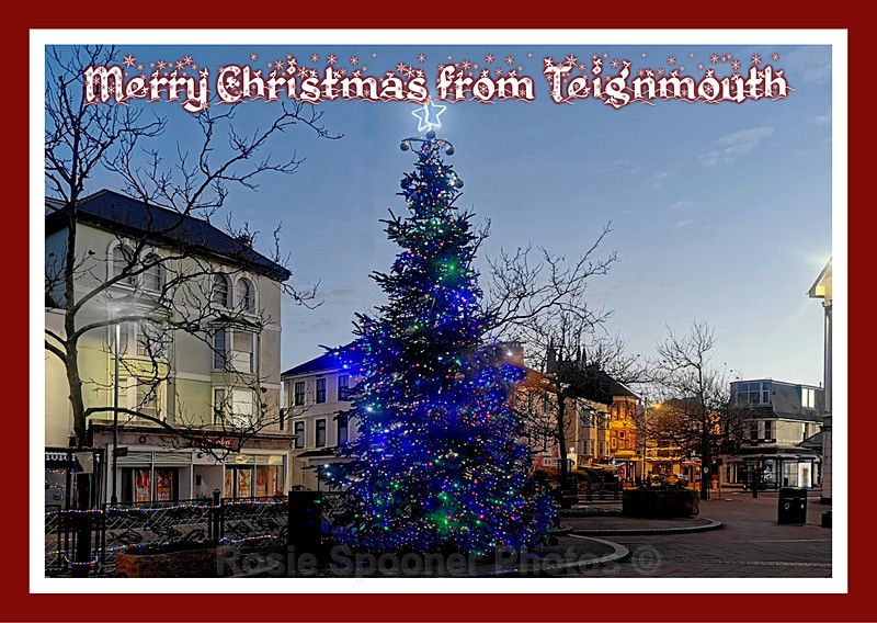 XM039 - Christmas Tree at The Triangle at Teignmouth - XMAS CARDS Teignmouth and Shaldon