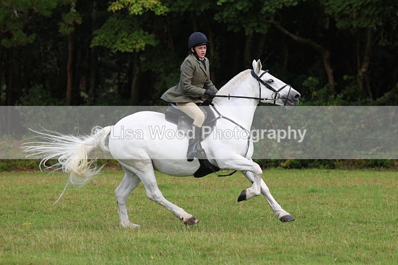 3E7A6001 - Class 28: 75cm Working Hunter