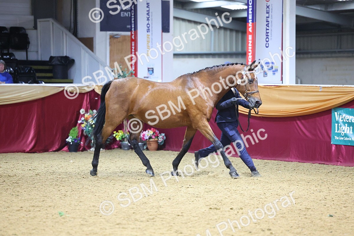 SBM_19636 - Class 901 - Supreme Final - IH Diamond