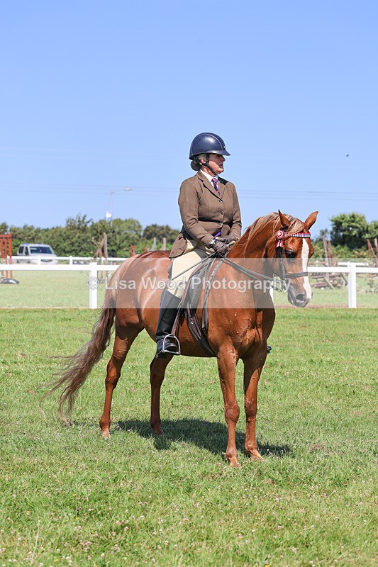 IMG_2226 - Class 37: Pure, Anglo & Part Bred Ridden Arab