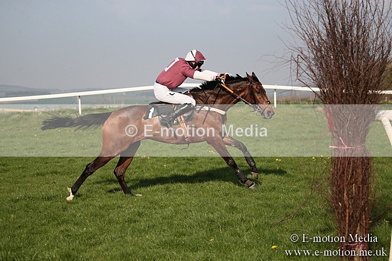PtP 210418 648 - South & West Wilts Point-to-Point Larkhill 21/04/18