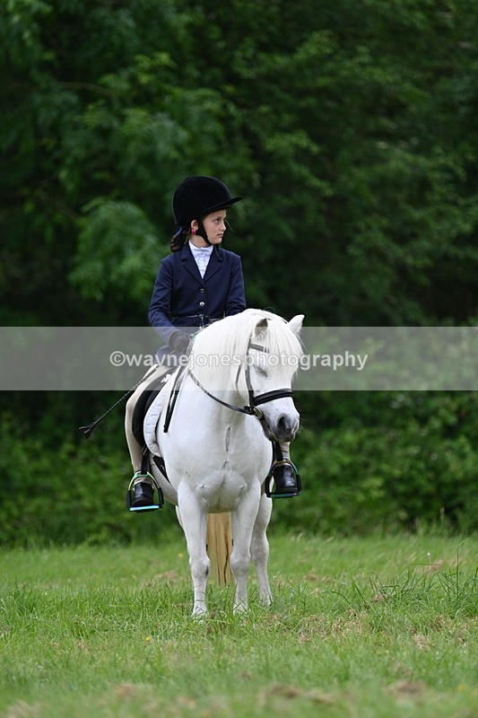 WJ7_4550 - Class 14B Prettiest Mare