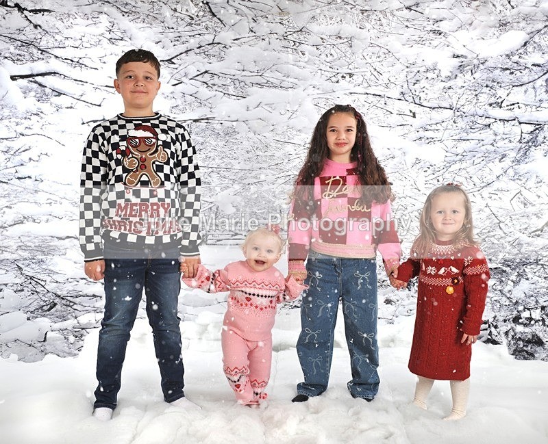 DSC_6536snow - Lauren powers