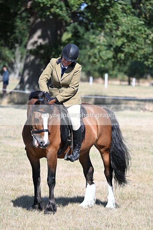 WJ7_4142 - Class 9 Mountain & Moorland Ridden