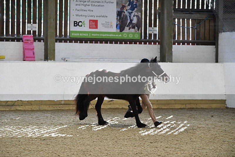 WJ5_3497 - Class 1 Youngstock