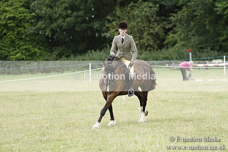 BVR160717-342 - Ring 3 BVRC Show 16/07/17