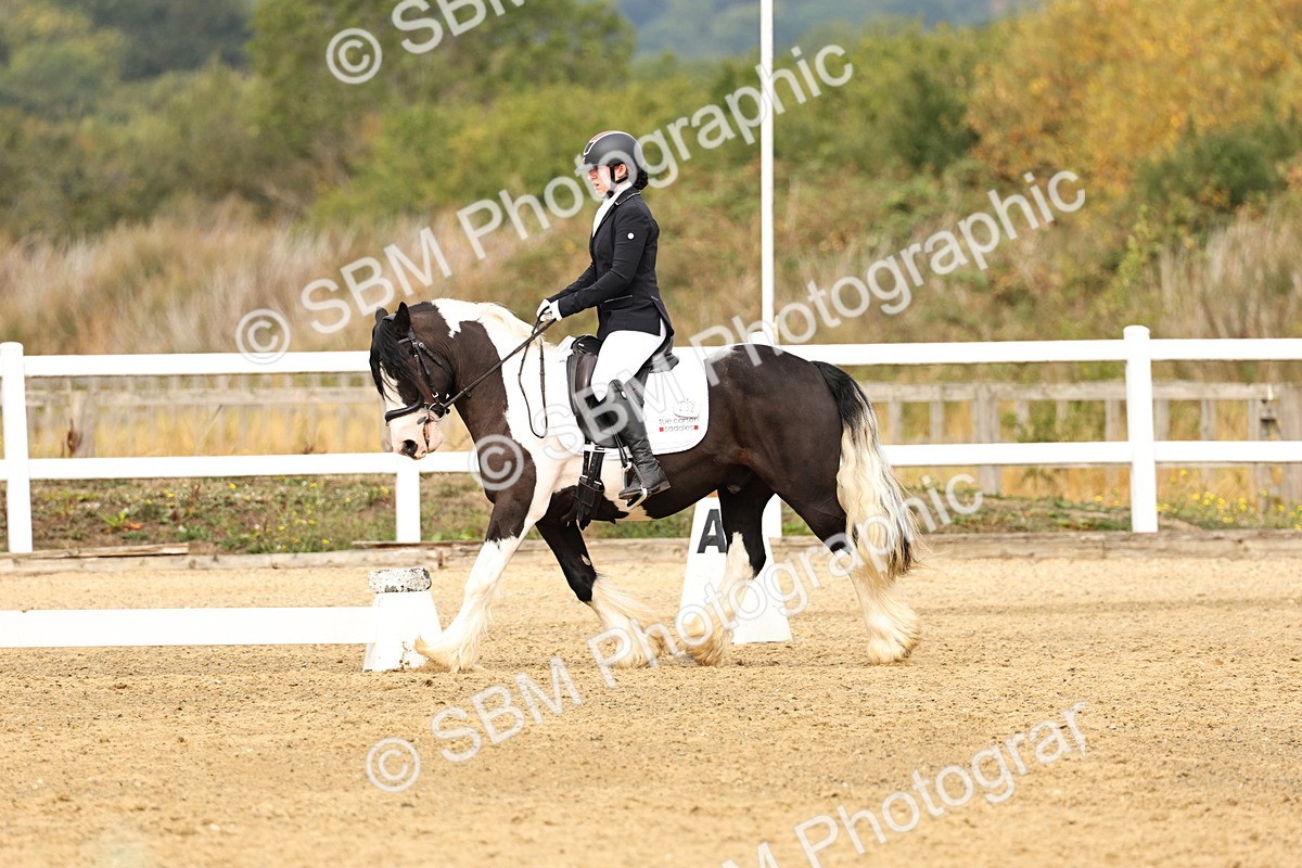 SBM_012341 - Class 2 - Prelim 5