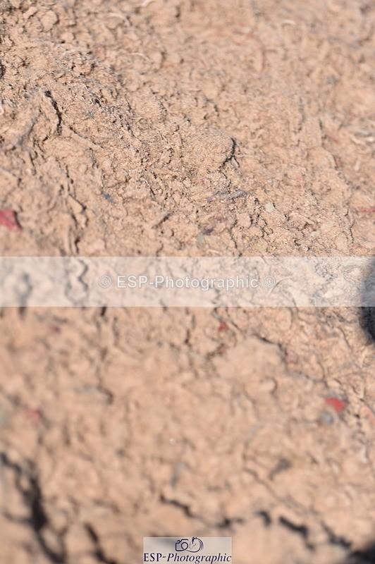 230720A-092802-01392 - Cls 25, 5 Yr Olds 1.10m