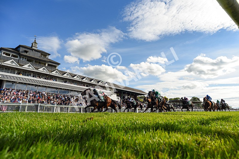 310526-Race 5-Fandom-3632 - Race 5 17.45pm Sky Bet Price Boosts Handicap