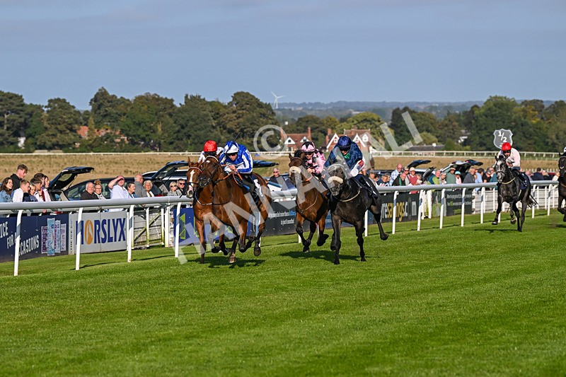 180924-Race 7-Fox Avatar-5213 - Race 7