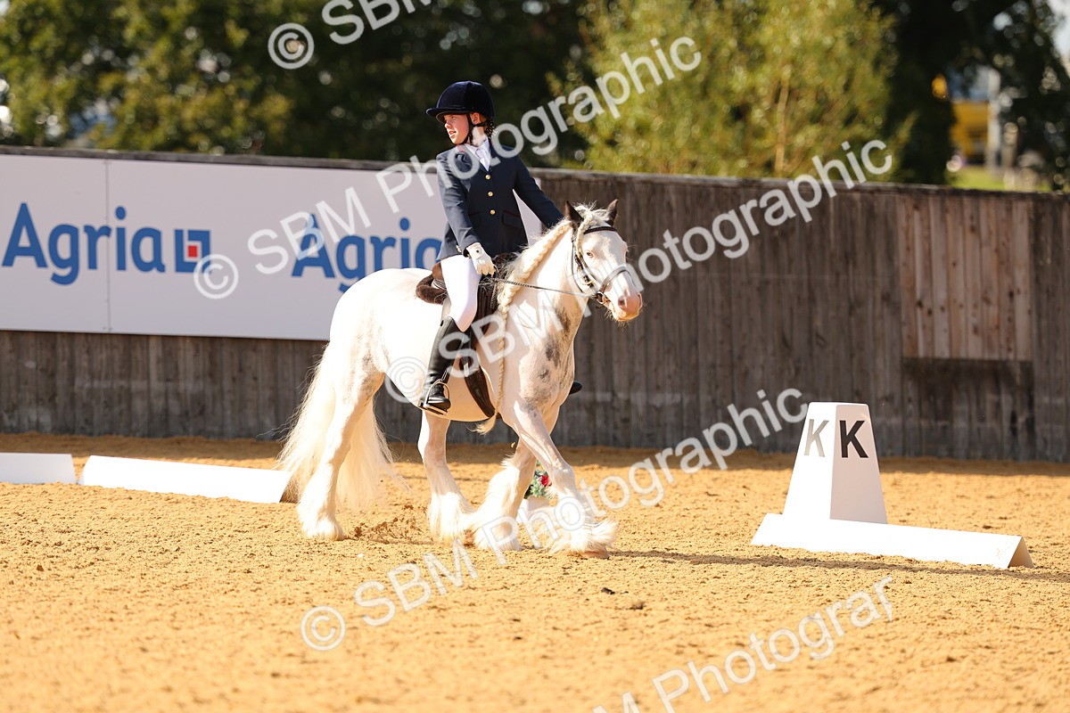 SBM_49659 - D22 - Junior Championship - Intro B