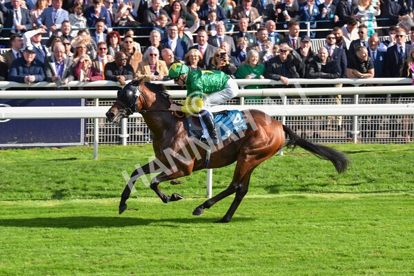 yr08102022r1-38 - Race 1 1.30pm The Coral Play 'Racing-Super-Series' for Free Nursery Handicap