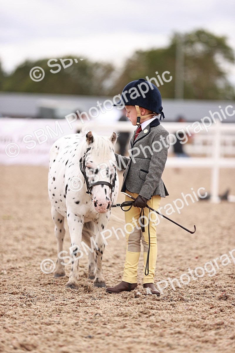SBM_18586 - Class 421 - Childs Best Friend - Jnr
