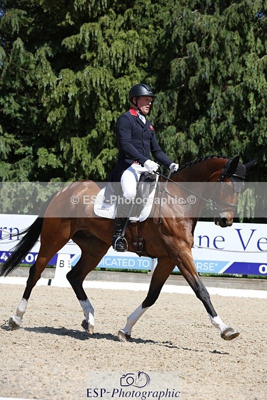 230526-144817-06552 - 375-FINLEY_DU_LOIR-Oliver_Townend-WEDTrotUp+DR