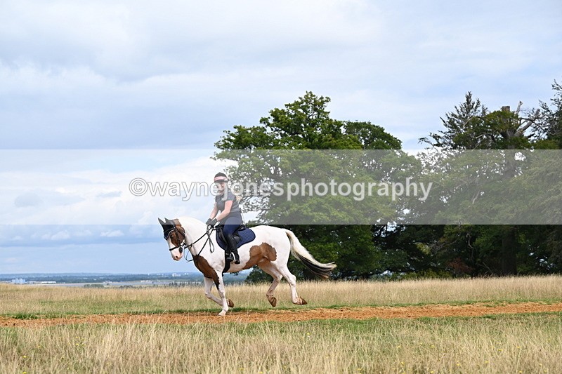 DSC_7919 - Time at Statue 13:16 to 13:52
