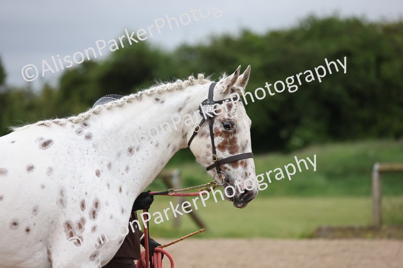 20250524-0114 - Class 2 - Youngstock