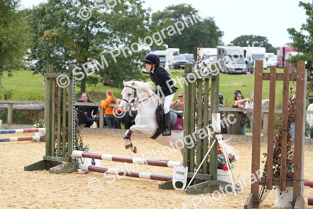 SBM_70606 - J3 - Mini Tour Junior Pony 40cm Championship