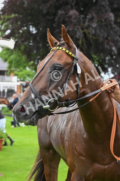 250524-Race 2-Arabie-3091 - Race 2 2.10pm Reg Bond 'Always And Forever' EBF Restricted Novice Stakes