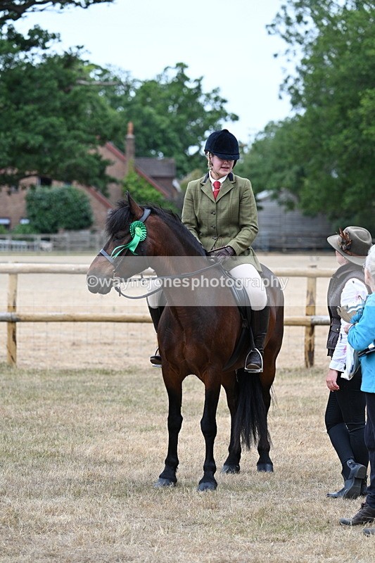 WJ7_0721 - Class 6 Ridden Mountain and Moorland