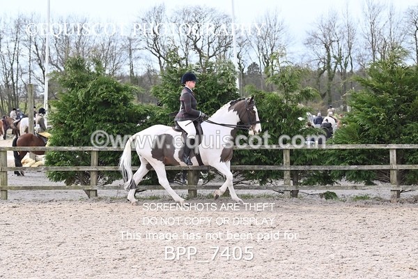 BPP_7405 - RING 1  (RIDDEN HORSES / IN HAND / VETERAN ETC)