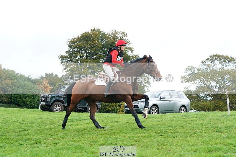 251025A-104712-17172 - D-361-Alison.Gill