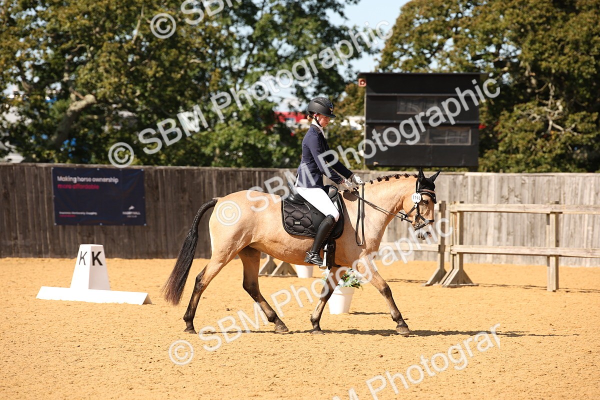 SBM_24151 - D5 - Small Tour Championship - Intro C