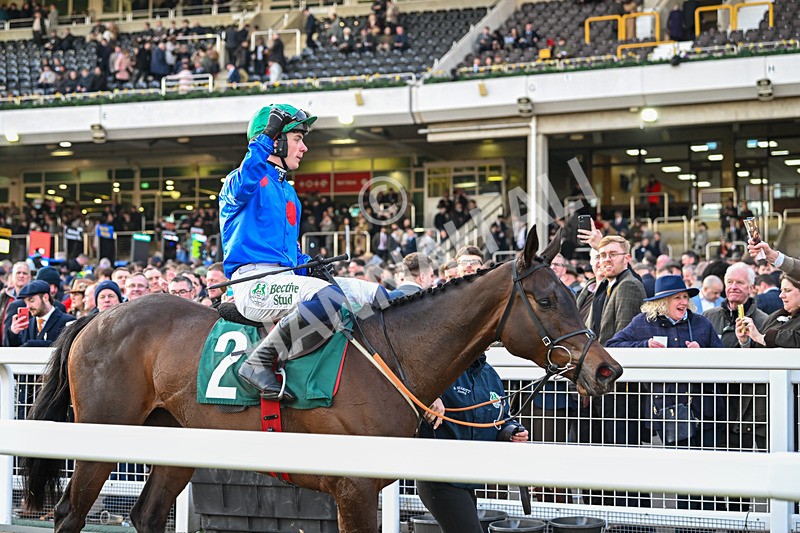 140325-Race 7-Wodhooh-6345 - 14th March