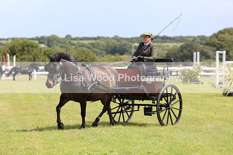 3E7A2714 - Class 12: Open Driving