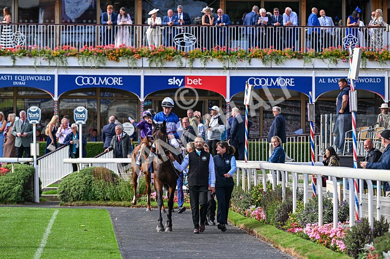 210826-Race 6-Benjamin Hornigold-7219 - Race 6 16.45pm British Stallion Studs EBF Convivial Maiden Stakes