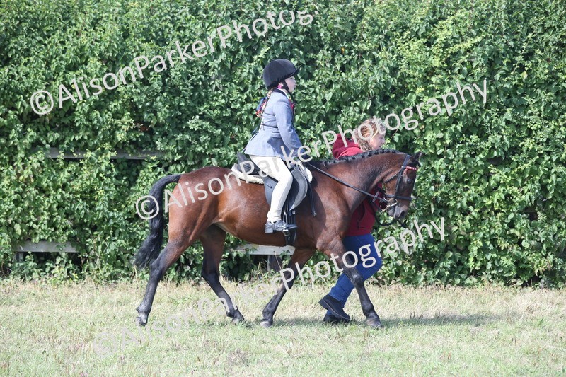 20250831-2620 - Class 17 - Lead Rein Pony