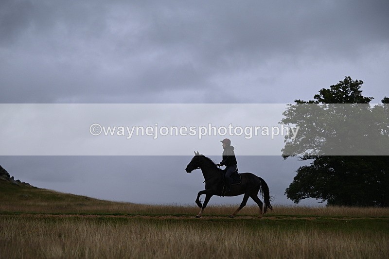 DSC_3365 - Time at Statue 13:51 to 14:55