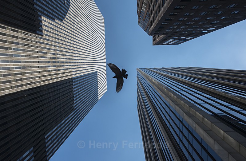  - New York City
