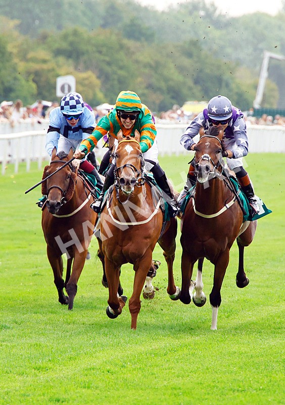 250725-Race 6-Irish Dancer-88860 - Race 6