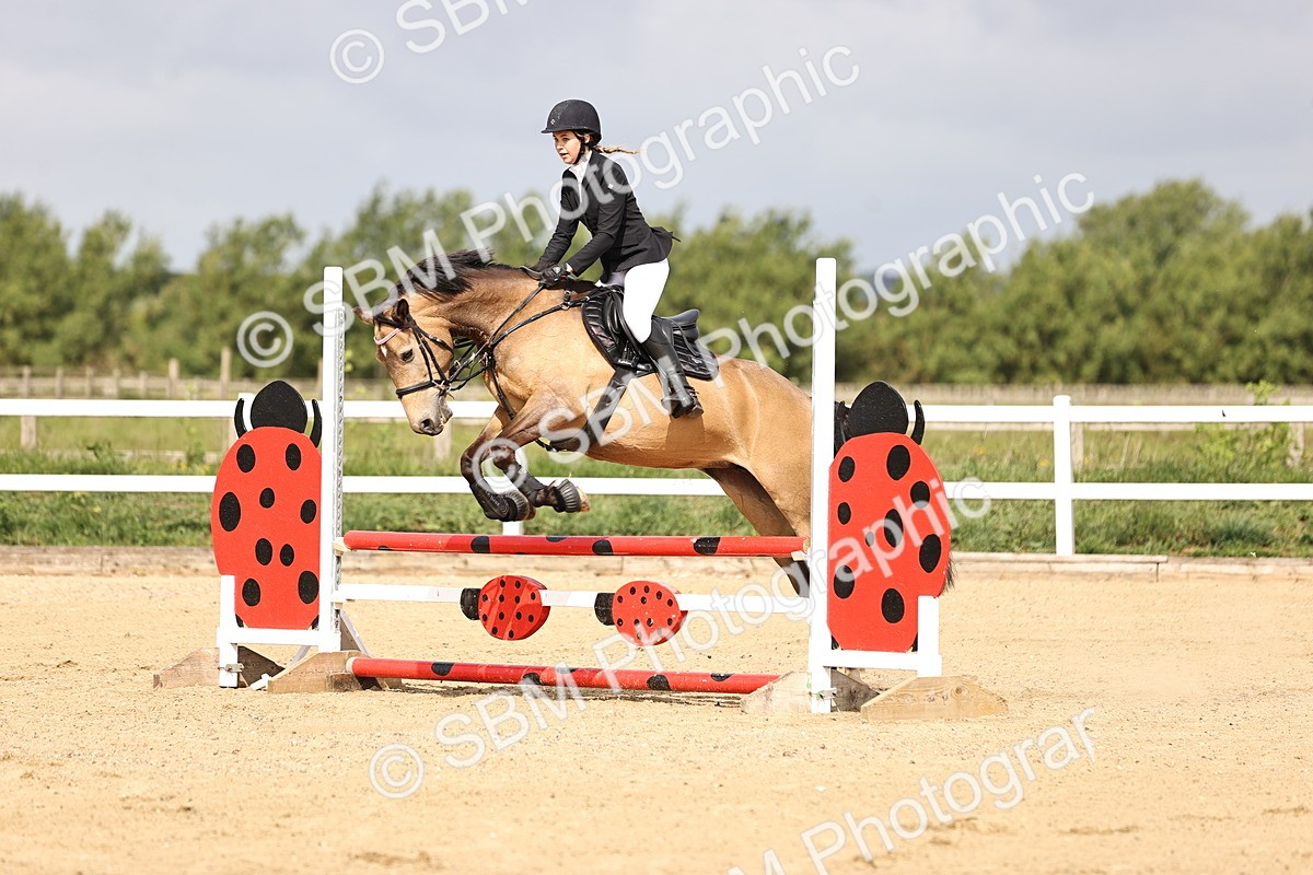 SBM_006649 - Class 1 - 70cm showjumping