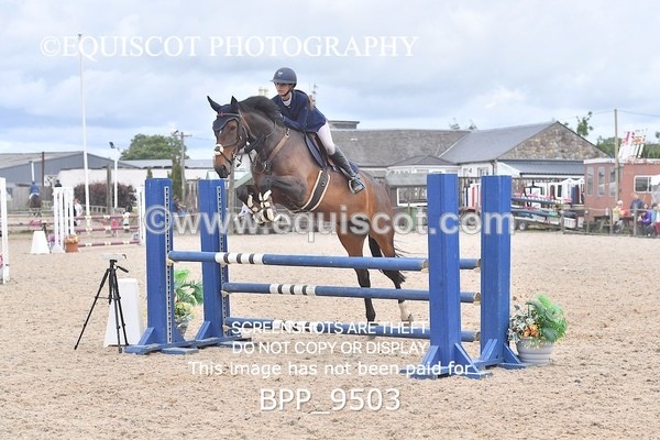 BPP_9503 - CLASS 7 Senior Newcomers/ 1.10m OpenSenior Newcomers/ 1.10m Open