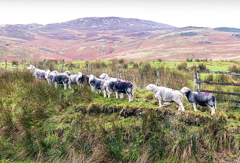  - Lake District, UK