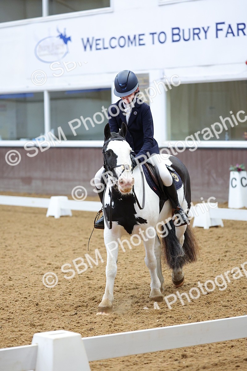 SBM_003102 - Novice