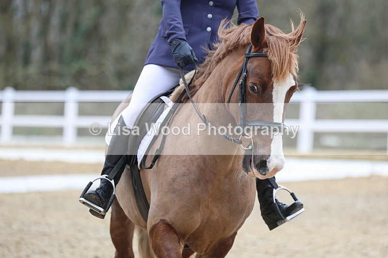 3E7A0564 - Class 3: Prelim 1 2024 Section A - part two