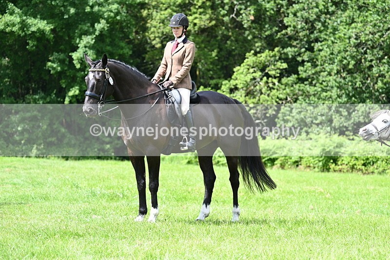 WJ7_1326 - Class 11 Condition & Turnout