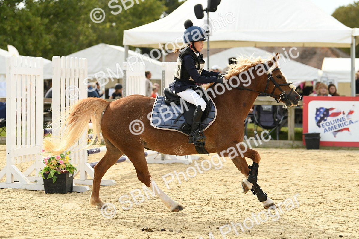 SBM_71042 - J15 - Junior Pony 70cm Championship