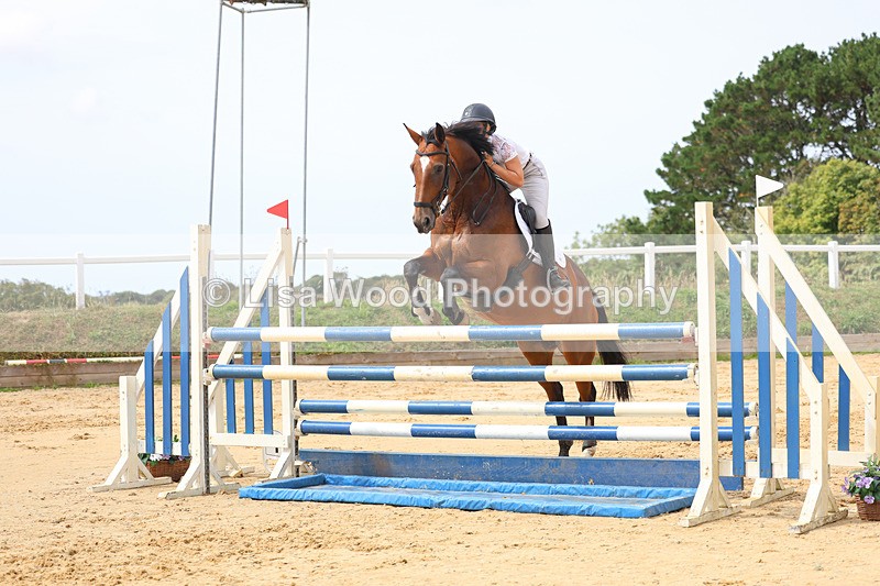 3E7A4322 - Class 8: Senior Foxhunter/1.20 open