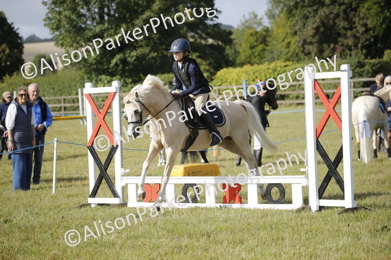 20250831-0213 - Class 1 - 50cm