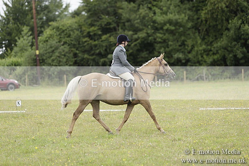 BVR160717-1199 - Class 2 Dressage 16/07/17