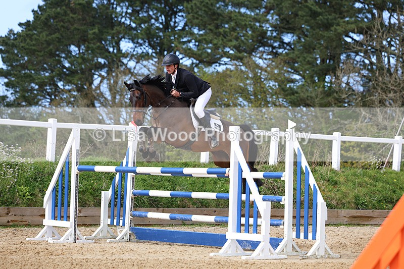 3E7A2191 - Class 8: Senior Foxhunter/1.20 open