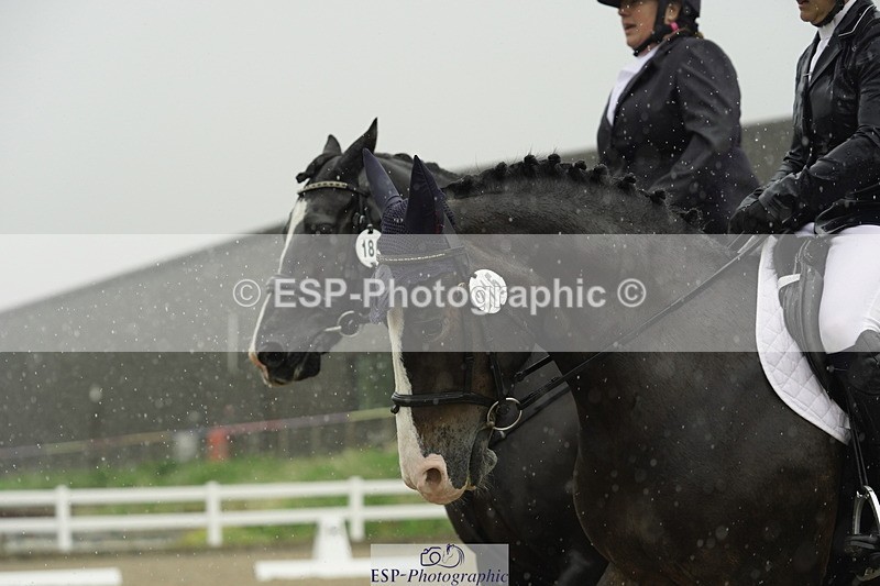 230708A-123152-00421 - BRC Pairs 5