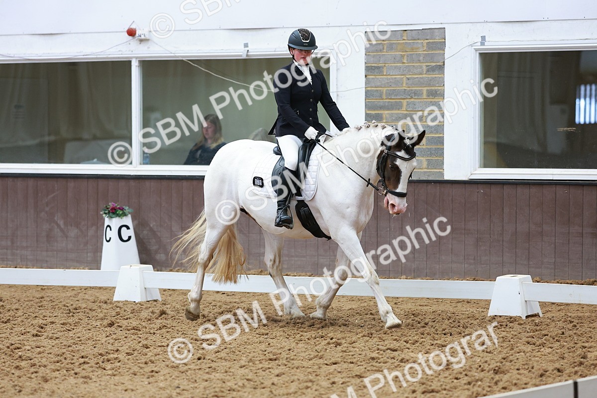 SBM_006914 - Class 3 - Prelim 2